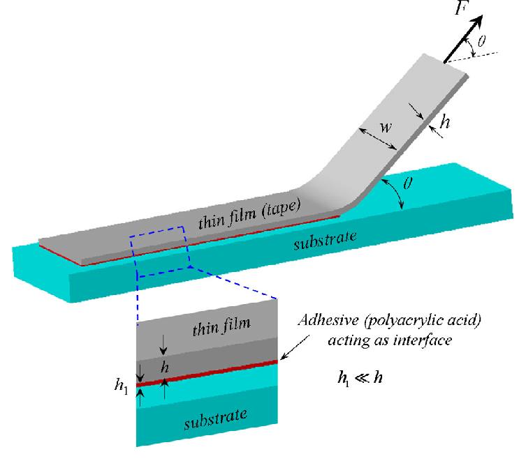 Schematic of the peel test with dimension illustrations of the adhesive tape thin film